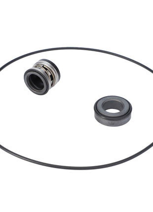 AGCO | Seal Kit, Pump, Sprayer - AG122578