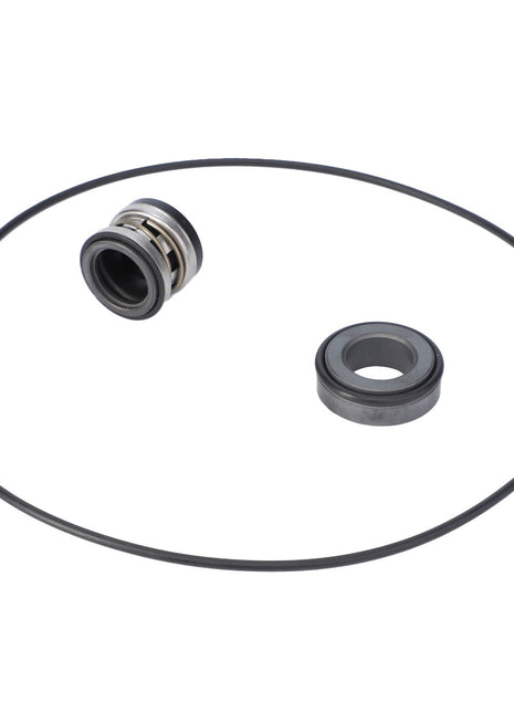 AGCO | Seal Kit, Pump, Sprayer - AG122578