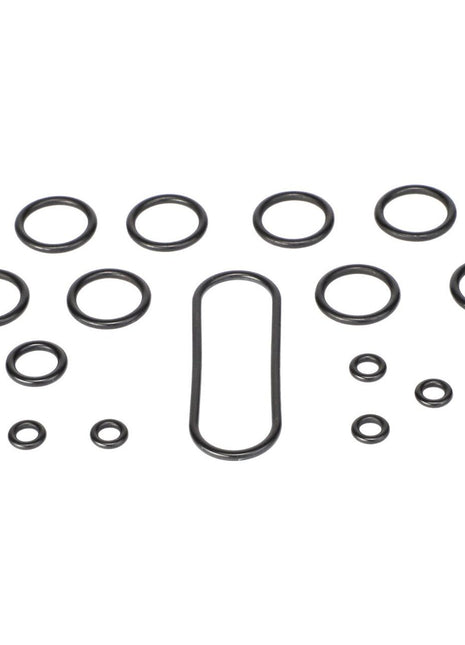 AGCO | Seal Kit - F210962020040 - Massey Tractor Parts