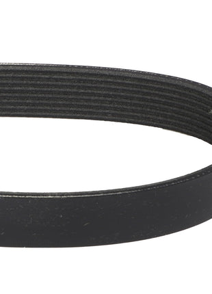 Close-up of the AGCO | BELT - A3966783, a black, ribbed drive belt on a white background. For any questions or assistance with ordering, please contact our support team.