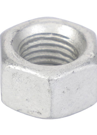 A close-up image of the AGCO Hex Nut - Y704304, showcasing its threaded interior made from durable materials. This essential tool is perfect for any mechanical project.