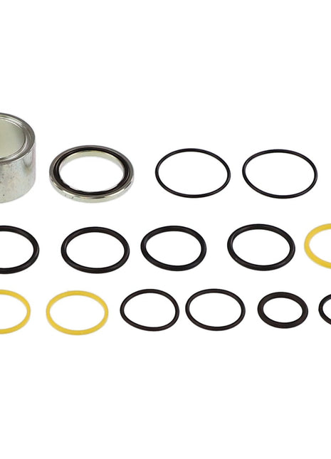 AGCO | SEALS KIT - AL5040064