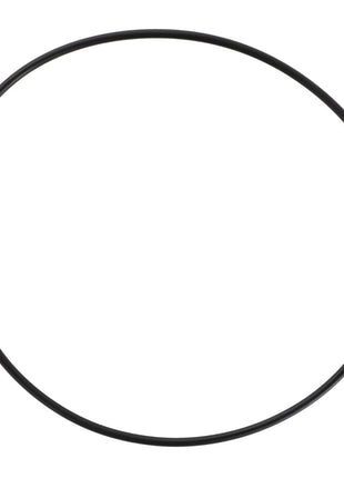 A black rubber O-ring, known as the AGCO | O-Ring - F334300020120, is showcased against a white background, creating a stark and minimalist visual contrast. No current product description is available for this item at the moment.