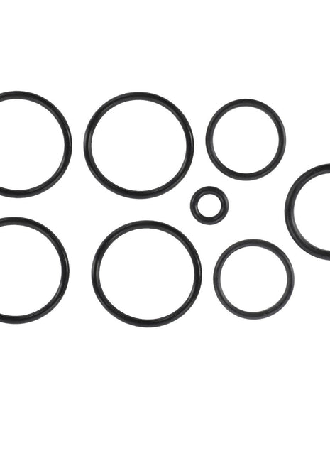 AGCO | Seal Kit - F339400090030 - Farming Parts