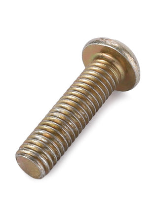 AGCO | PAN HEAD MACHINE SCREW - AG553174