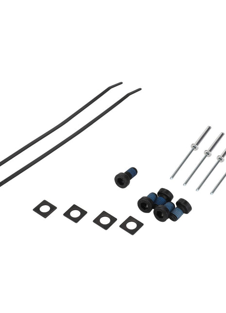 The AGCO | FASTENING PART - F931502031070 set, consisting of two black zip ties, four black screws with blue accents, four square washers, and four long metal bolts, arranged against a white background.