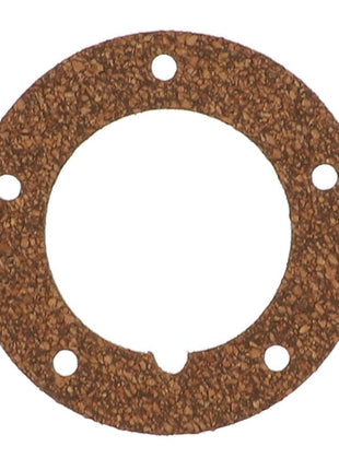 AGCO | FUEL LEVEL SENDER GASKET - AG236753