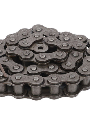 AGCO | Roller Chain, Lely Storm Forager - Lm98039889 - Massey Tractor Parts