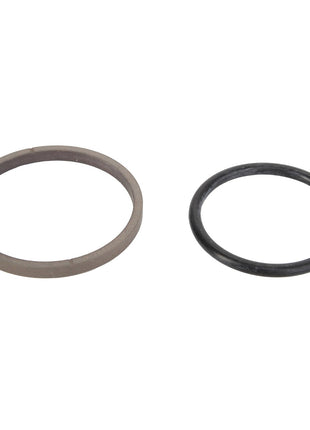 AGCO | Oil Seal - 0.010.2174.0