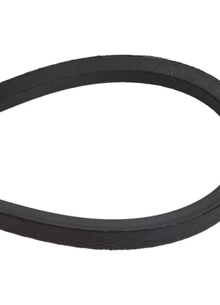 A black AGCO serpentine V belt (model D41929400) is displayed in a looped position against a white background, with no current product description information available.