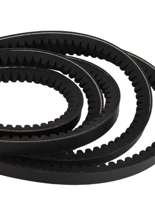 Introducing the AGCO | V Belt - Fel140966, a high-quality coiled black rubber belt featuring ridged teeth on the inner surface. Currently, there is no detailed product description available for this product.