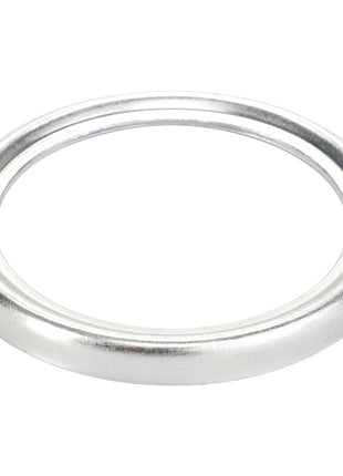 An elegantly showcased AGCO Sealing Cap - F138314020460, featuring a silver metal finish with a smooth surface and slight bevel, set against a pristine white background.