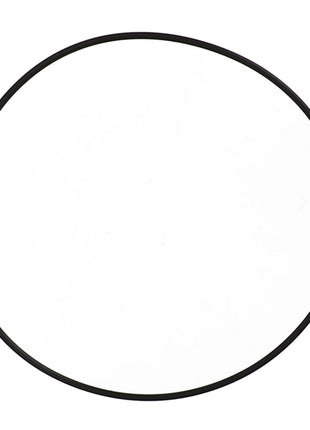 AGCO | O RING - D46150151