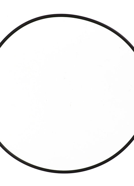 AGCO | O RING - D46150151