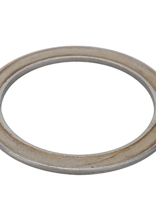 A close-up image of the AGCO metallic washer, identified as Disc - F180100080641, showing rust around its circular edges and hollow center.