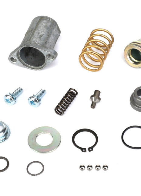 A meticulously arranged collection of AGCO control valve components, including screws, springs, washers, o-rings, and metal fittings, displayed on a pristine white background.