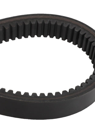 A close-up image of the AGCO V BELT - D41981400, a black, toothed rubber timing belt, set against a white background. No current product description information is available.