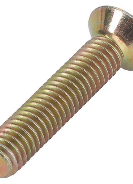 AGCO | Countersunk Head Machine Screw - 3009673X1 - Farming Parts