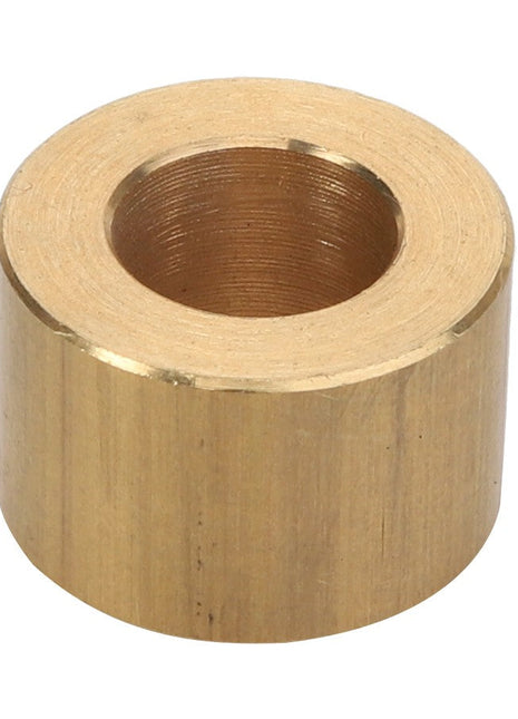 Introducing the AGCO | BUSH - D49060038, a cylindrical brass bushing featuring a central hole.