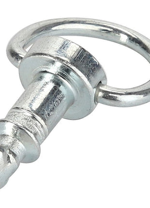 AGCO | Pin - Acp0326600 - Farming Parts