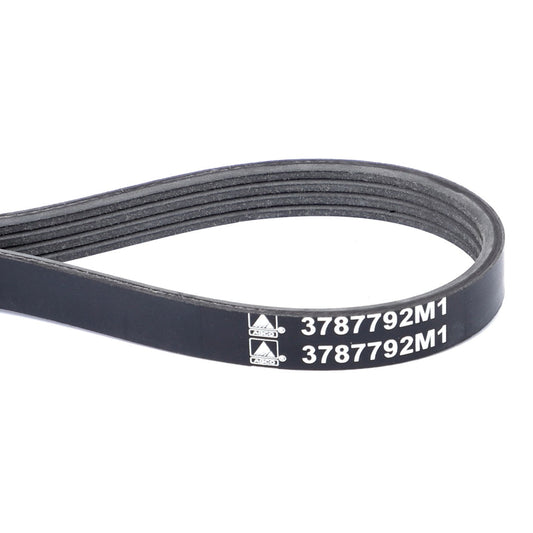 AGCO | Serpentine Belt, Pk4 Profile - 3787792M1 - Farming Parts