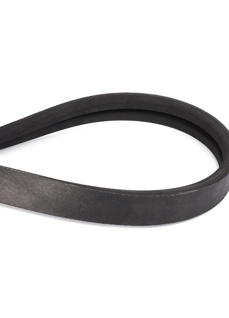 A black rubber belt, shaped in a loop, identified as the AGCO | V BELT - D41978100 by the brand AGCO, lies on a white background.