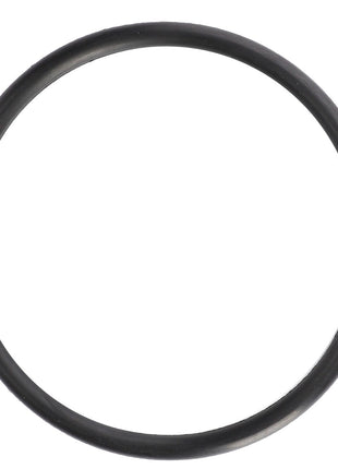The AGCO | Gasket - Ag053089, a black rubber O-ring, stands out against a white background.