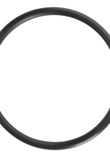 The AGCO | Gasket - Ag053089, a black rubber O-ring, stands out against a white background.