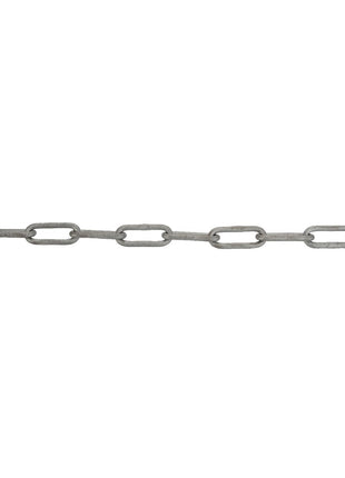 AGCO | CHAIN - D28181230