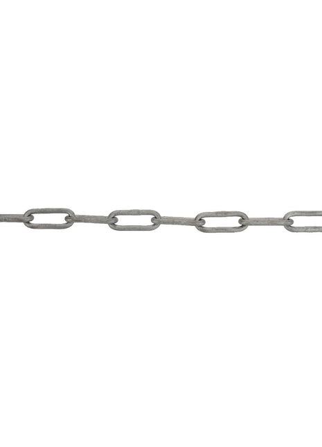 AGCO | CHAIN - D28181230