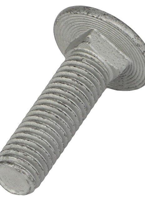 Close-up of a slightly worn AGCO Round Head Square Neck Carriage Bolt (Acw0997860) with a silver metal finish and a threaded shaft, positioned diagonally.