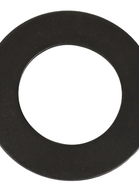 AGCO | WASHER - K4065