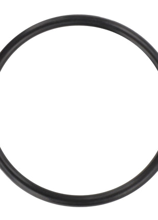 AGCO | O Ring - 3008665X1 - Farming Parts