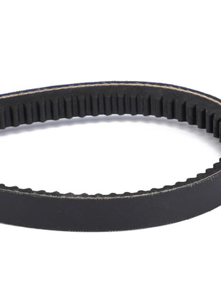 A close-up view of the AGCO V-Belt (Acp0139060), featuring a black rubber construction with inner teeth, forming an oval shape, designed for optimal performance and reducing noise and slippage.