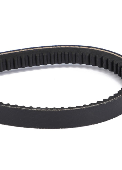 A close-up view of the AGCO V-Belt (Acp0139060), featuring a black rubber construction with inner teeth, forming an oval shape, designed for optimal performance and reducing noise and slippage.