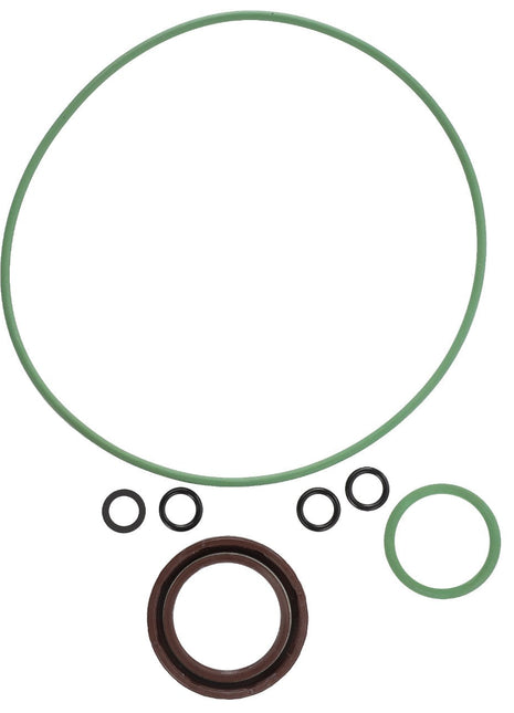 AGCO | SEAL KIT - F930940010030