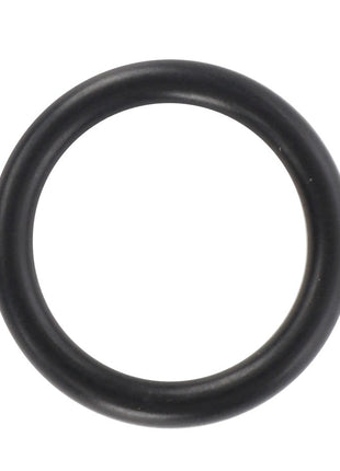 The AGCO | O RING - D43425500, a black rubber O-ring from AGCO, rests prominently against a stark white background.