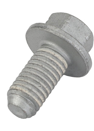 A close-up image shows an AGCO Hexagonal Head Bolt - F339900040220 with a washer. No current product description available.