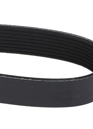 A close-up of the AGCO black, ribbed automotive serpentine belt (model 111677W1) looped in an oval shape. No current product description available.