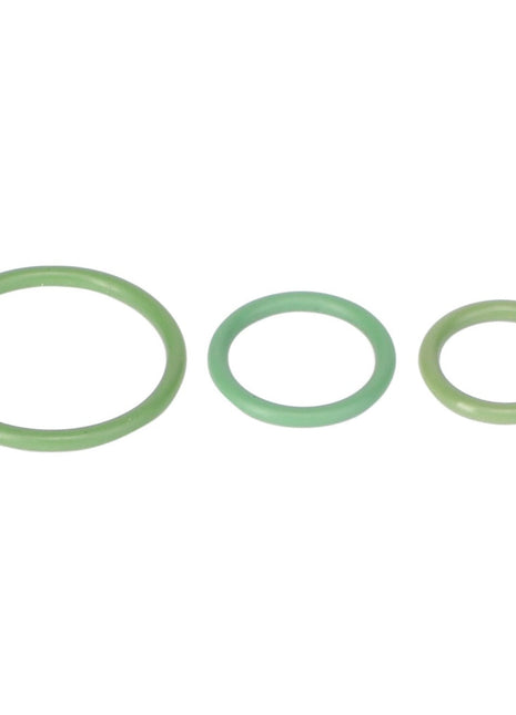 Three green O-rings of varying sizes from the AGCO | Kit, Joint - Acp0338600 arranged in a row from largest to smallest on a white background. No current product description available.