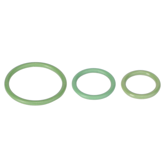 Three green O-rings of varying sizes from the AGCO | Kit, Joint - Acp0338600 arranged in a row from largest to smallest on a white background. No current product description available.