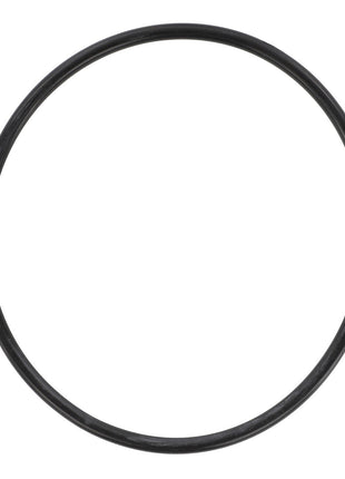 A close-up image of the AGCO Seal, Fuel Filter - F716201060080, circular in shape and made of black rubber, displayed against a white background. Ideal for maintenance and repair tasks.