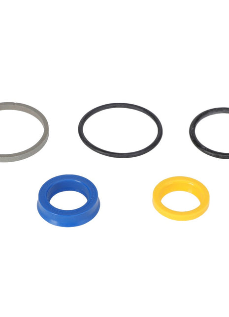 AGCO | Ring Kit - 0.009.4734.2