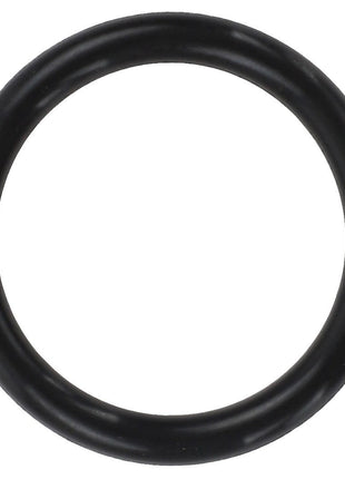 Current product: AGCO O-ring - 0.010.2233.1 in black rubber.
