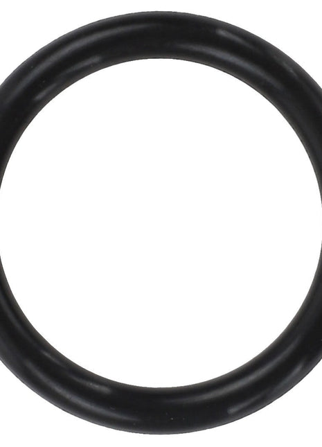 Current product: AGCO O-ring - 0.010.2233.1 in black rubber.