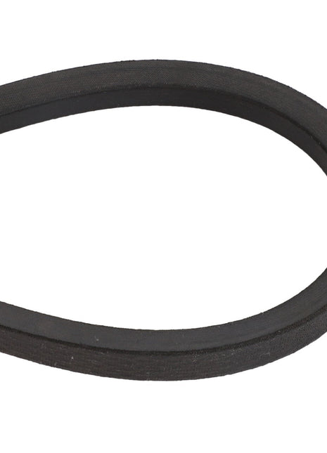 AGCO | BELT - D41926100