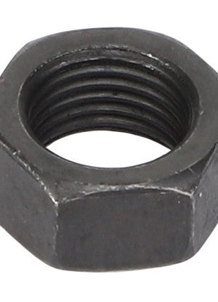 AGCO | NUT - F824200410210 is a metal hex nut with an internal thread, designed to secure bolts or screws. No current product description information is available.