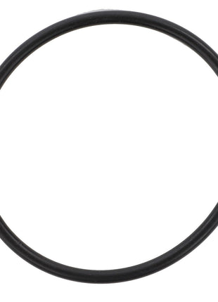 A sleek AGCO | O-Ring - F117941010080 is elegantly displayed against a pristine white background, showcasing its simplicity and functionality.