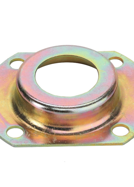 Product Description: The AGCO BEARING CARRIER - D28770432 is a round metallic flange with a central hole and four peripheral mounting holes. It features an iridescent finish, but no current product description information is available.