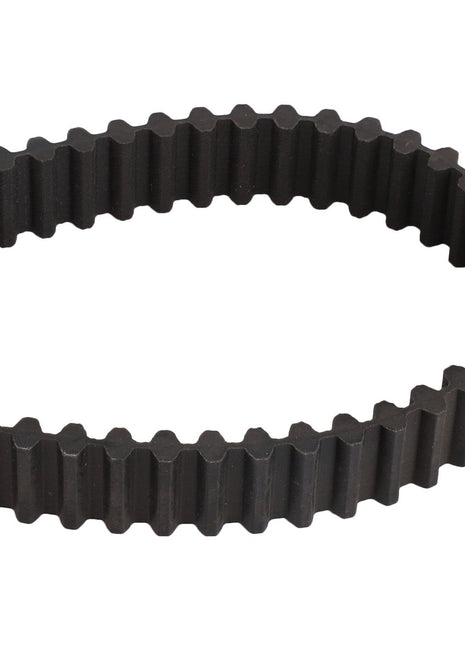 AGCO | BELT - CG1350656000